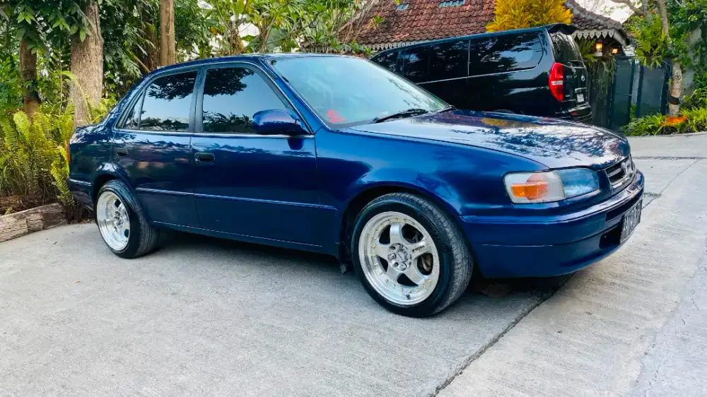 New Corolla nyuss