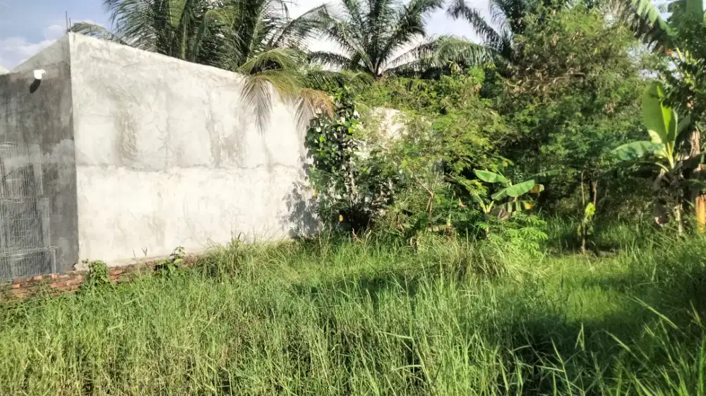 Jual Tanah Lokasi Sangat Strategis