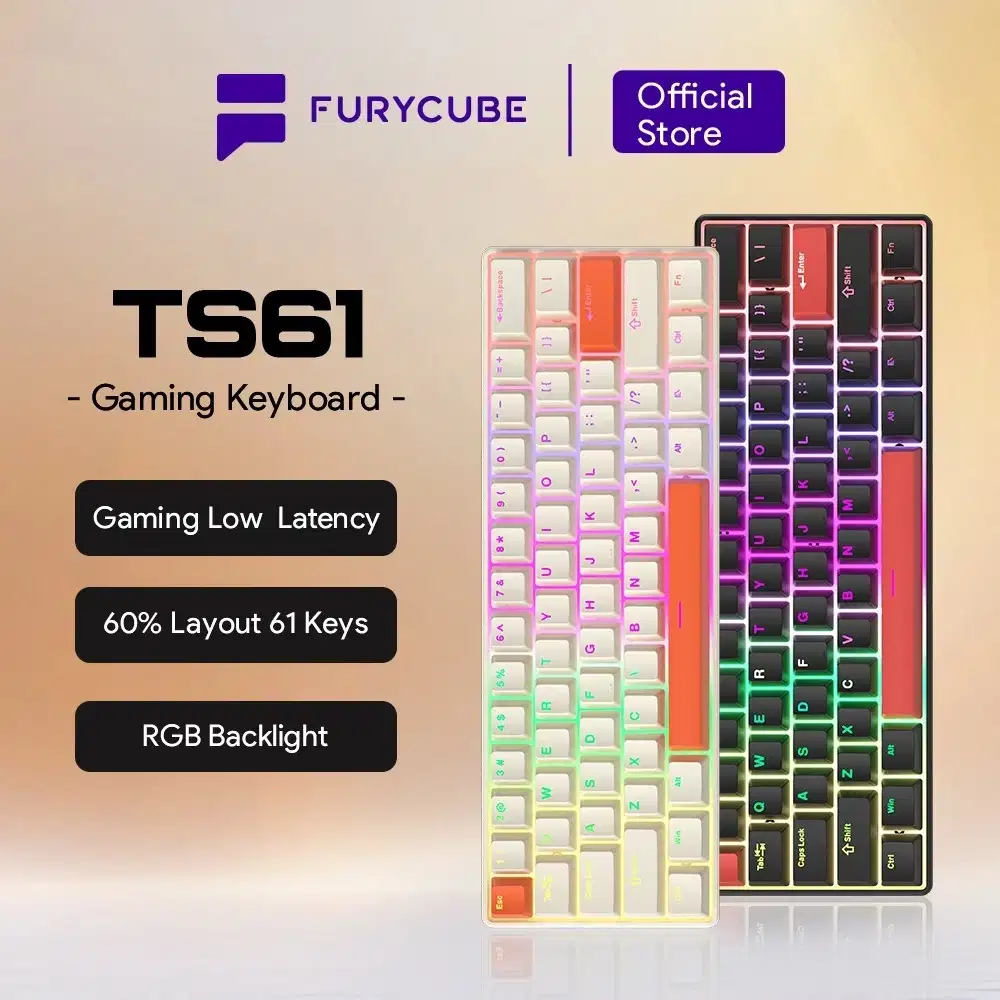 Mechanical keyboard Zifriend TS61 (5pin hotswap) MOD