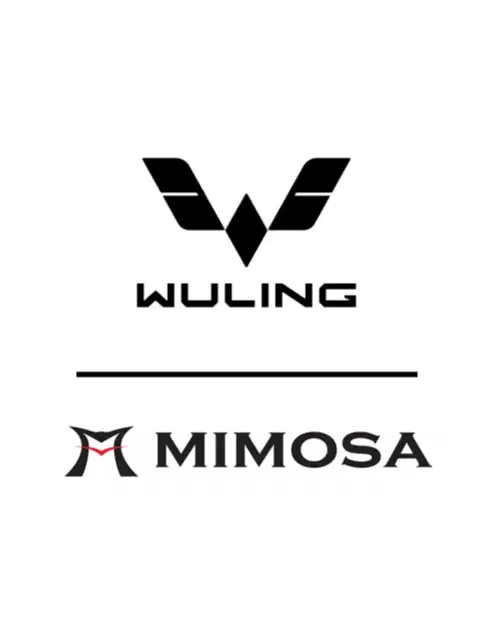 Sales Consultant