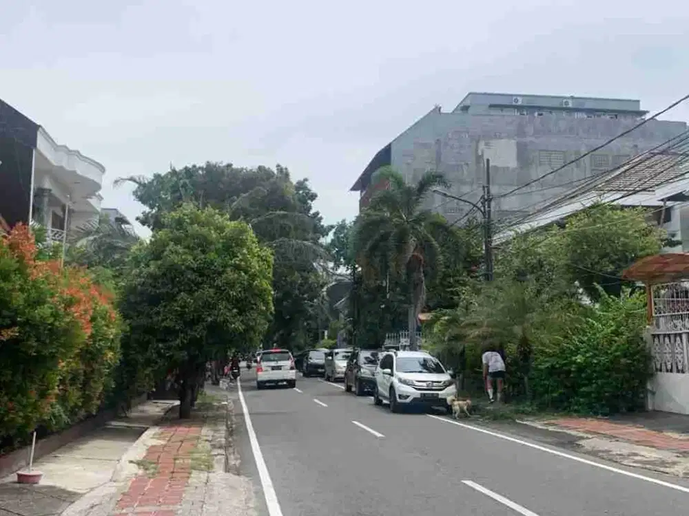 dijual rumah ditanjung duren selatan