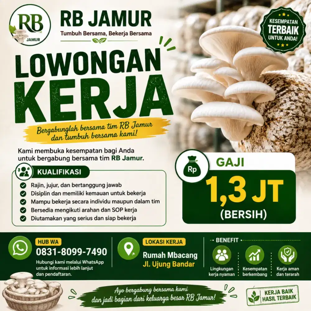 Lowongan Kerja Budidaya Jamur
