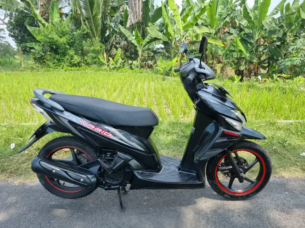VARIO CW 110 2011