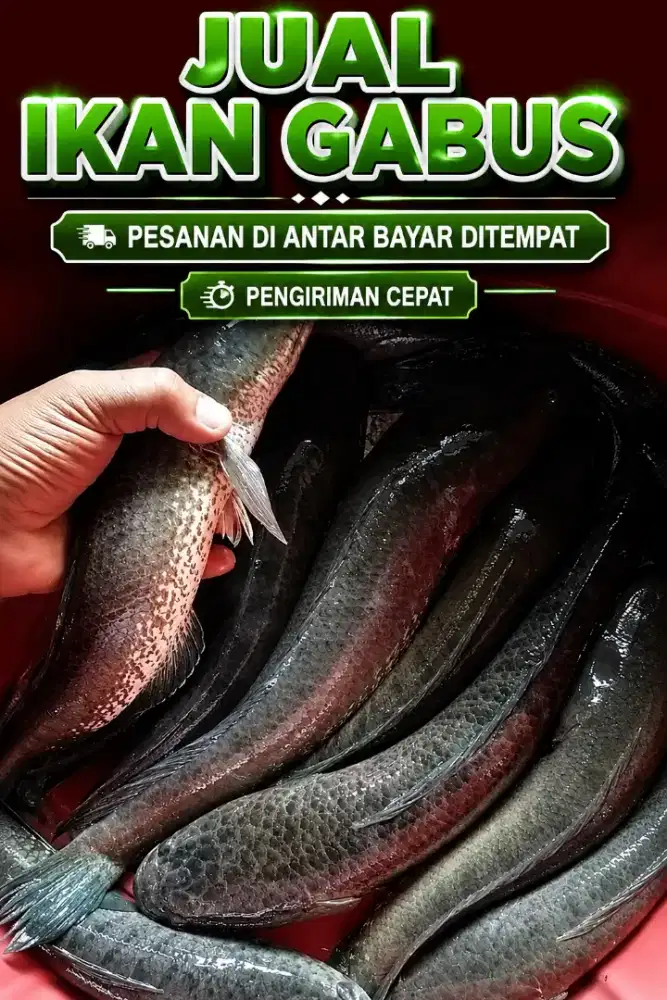Bahan kuliner beralbumin