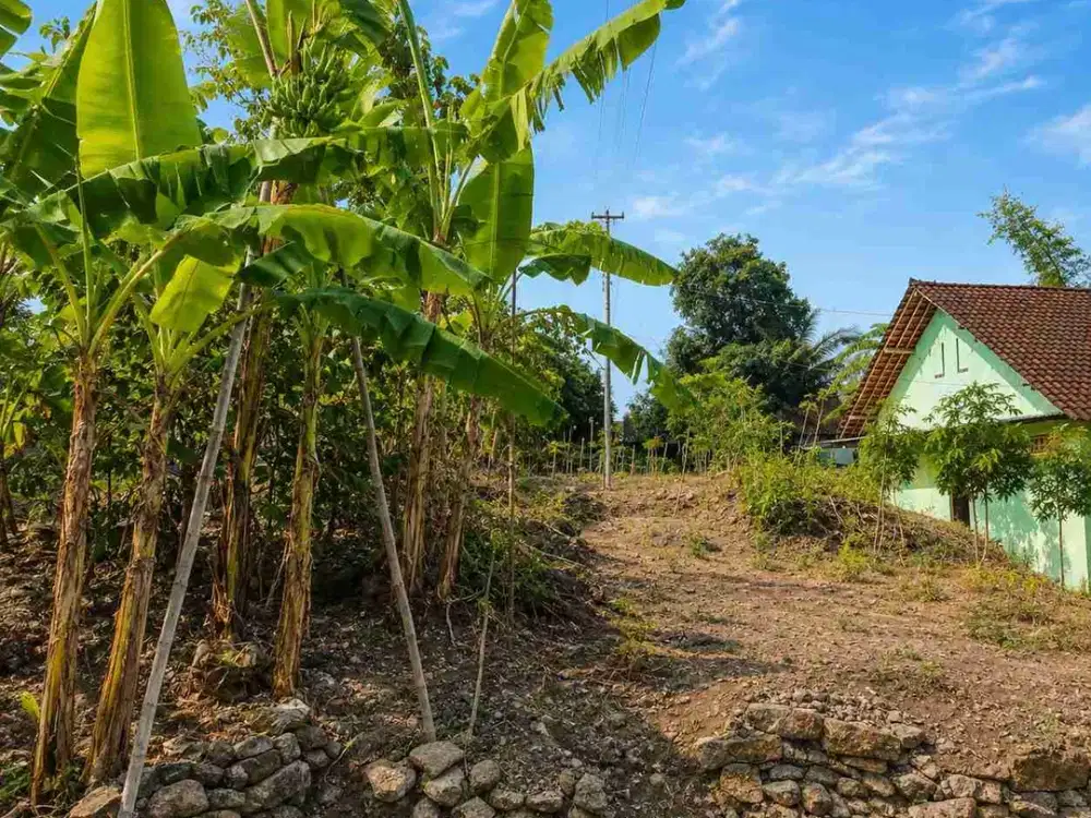 DIJUAL – Tanah Pinggir Jalan Provinsi LT 595 m² SHM di Eromoko, Wonogiri