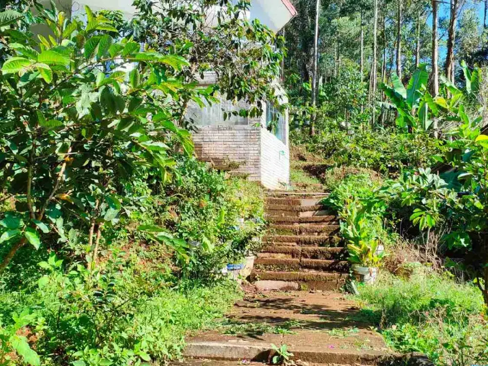 BISMILLAH DIJUAL TANAH & VILLA CIWIDEY BANDUNG JAWA BARAT