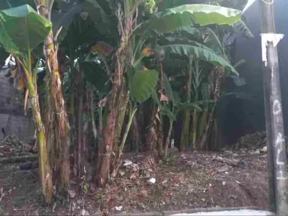 BISMILLAH DIJUAL TANAH Di PERUM.PONDOK JAYA SEKT.3 BINTARO