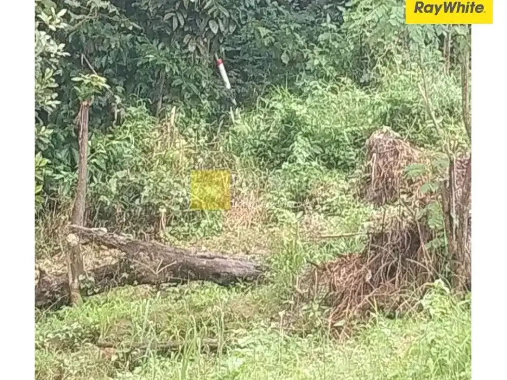 jual tanah luas di sabah balau