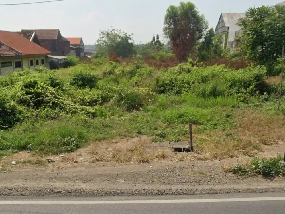 Nol Jalan Raya Domas Menganti Gresik