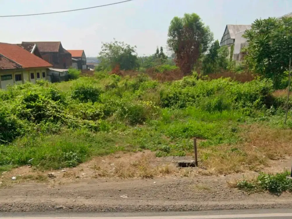 domas menganti gresik