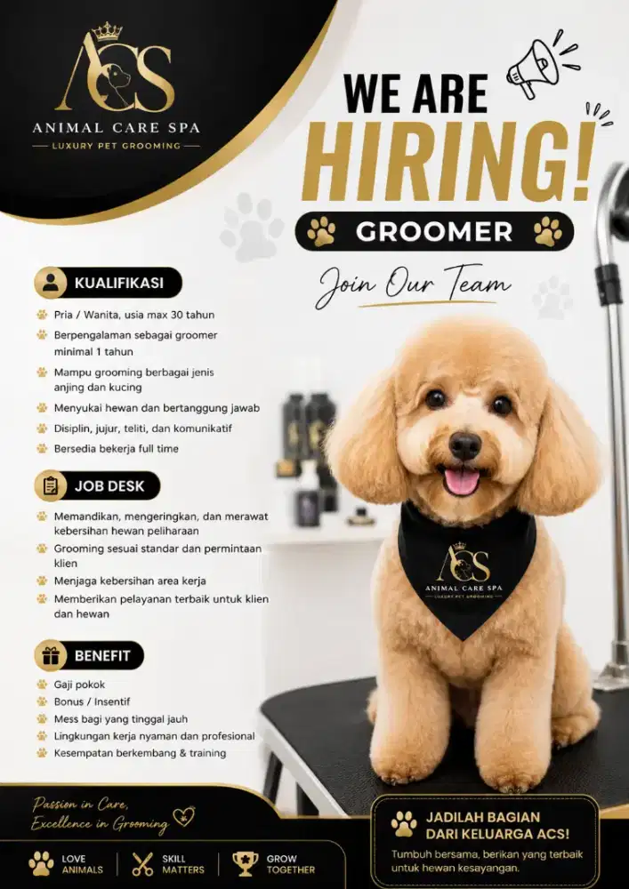 Dibutuhkan cepat Groomer untuk Grooming Anjing & Kucing