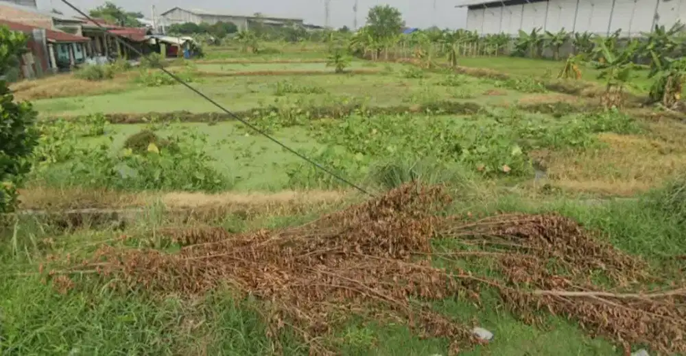 TANAH JALAN PLATINA I TITI PAPAN DAERAH MEDAN DELI