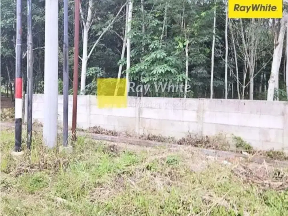 Dijual Tanah yang Berlokasi di Jl. Terusan Ryacudu, Jati Agung, Lampung Selatan