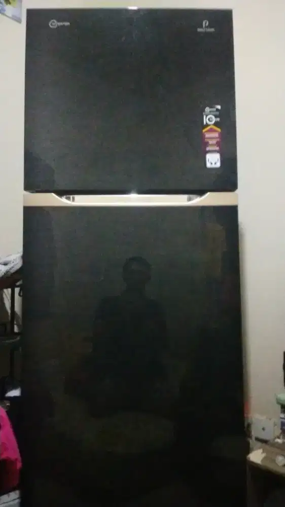 Kulkas Polytron 2 pintu BELEZA JUMBO PRM 491 kapasitas 350L