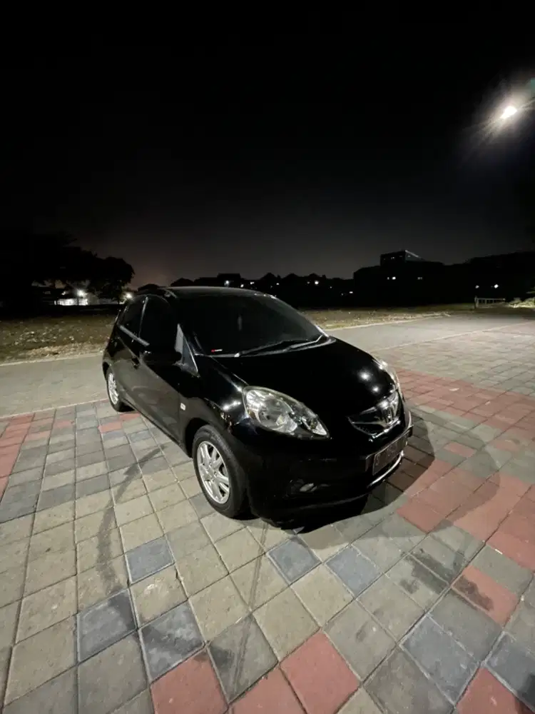 Brio E Satya Manual 1.2 2015