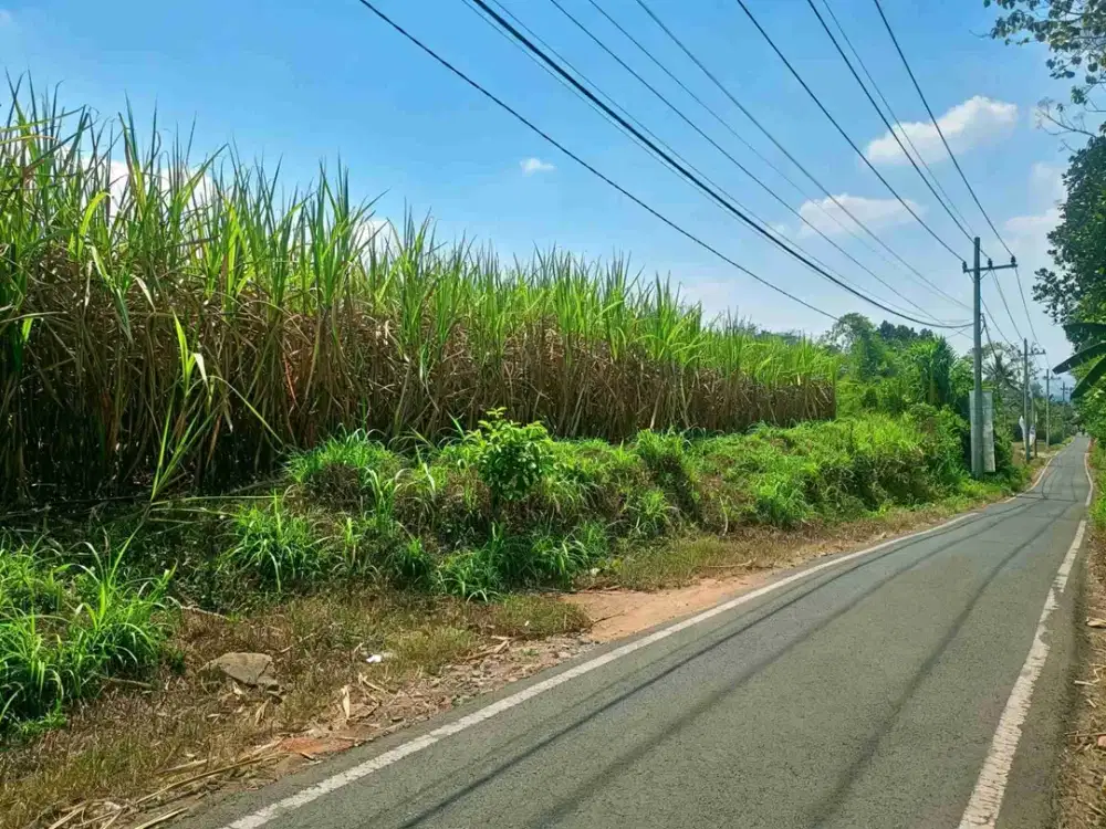 TANAH STRATEGIS KOTA MADYA MALANG DEKAT EXSIT TOL SAWOAJAJAR MALANG JAWATIMUR