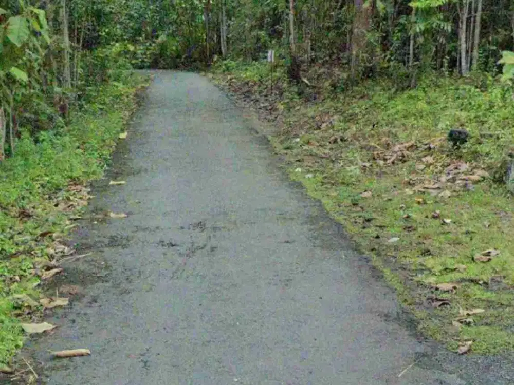 Tanah Murah dekat RSUD Nyi Ageng Serang Sentolo Kulon Progo