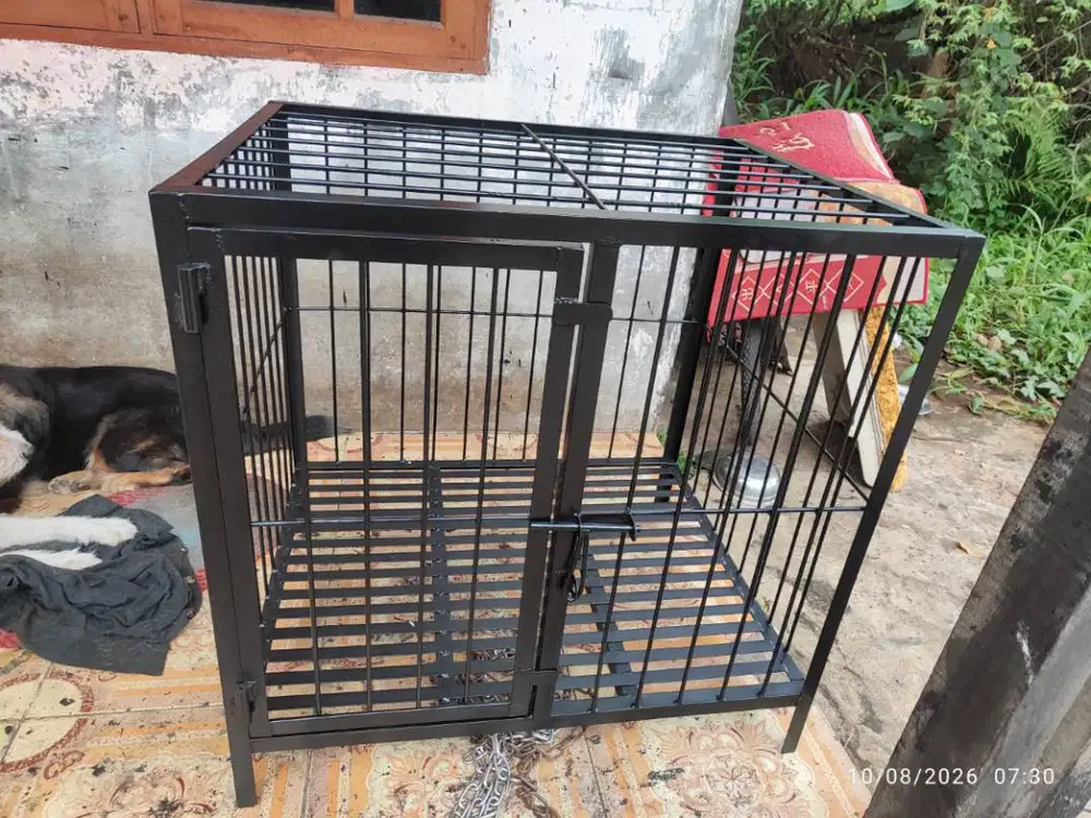 Kandang Anjing Baru
