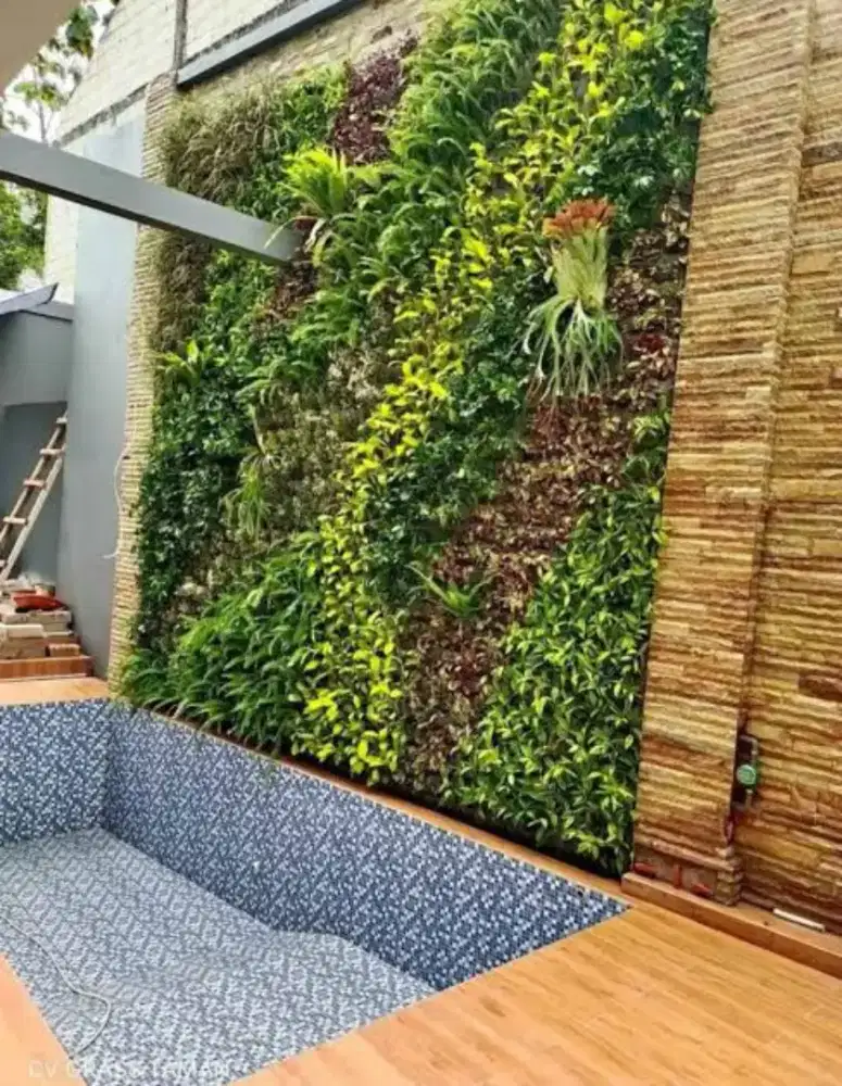 Tukang taman murah