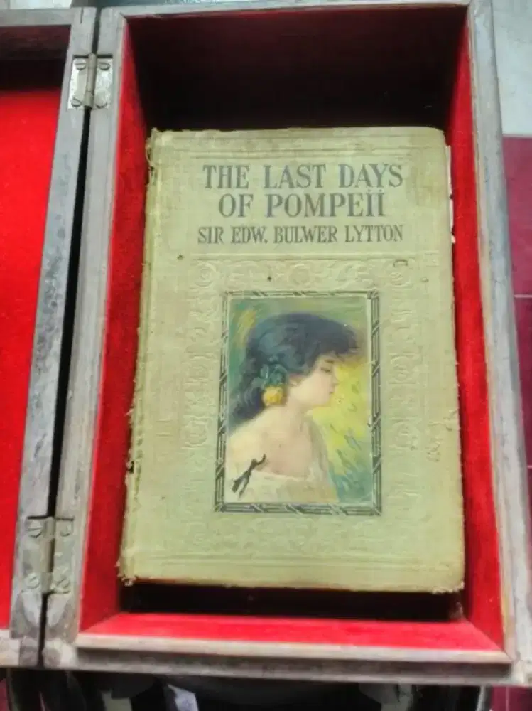 Novel The Last Day Of Pompii