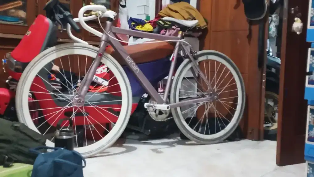 Fixie Brain 2.000.000(nego)