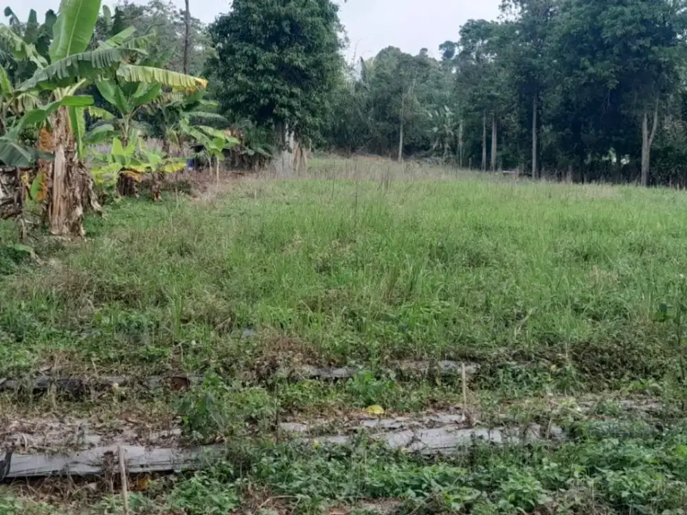 dijual lahan pinggir jalan 2585 meter