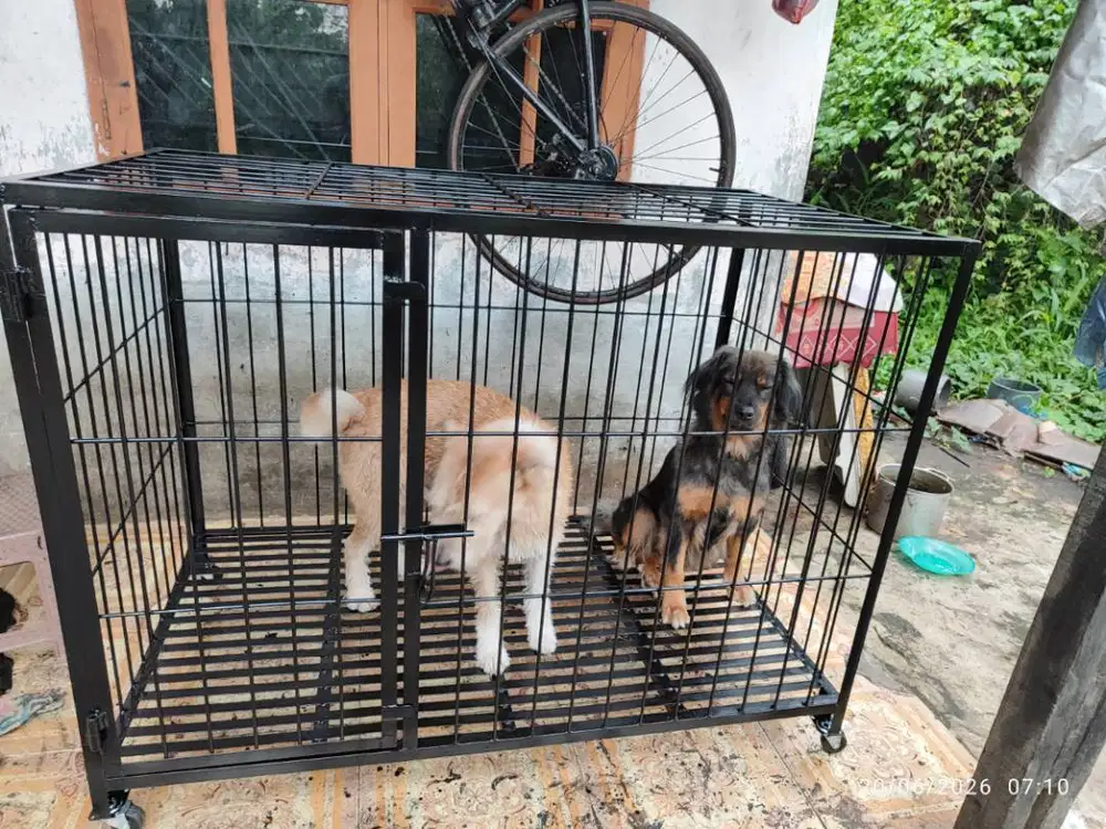 Kandang anjing besar