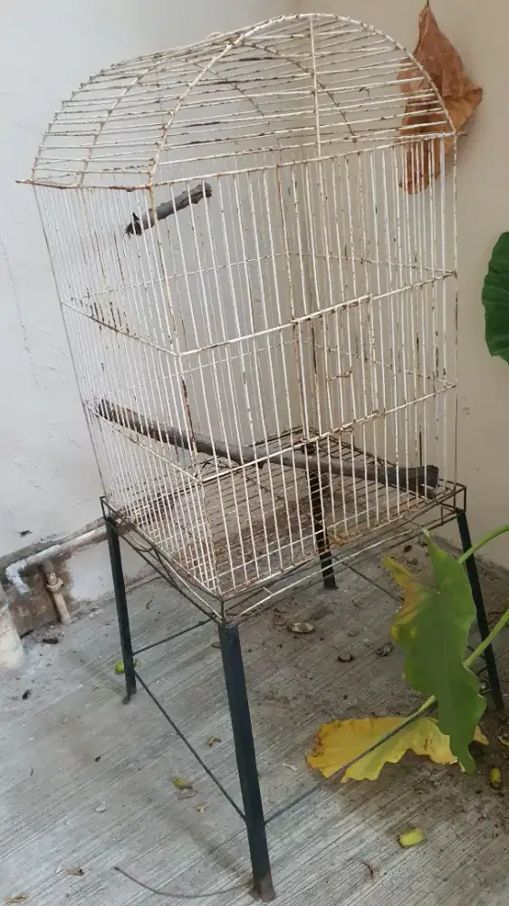 Kandang burung besi dengan kaki, besar