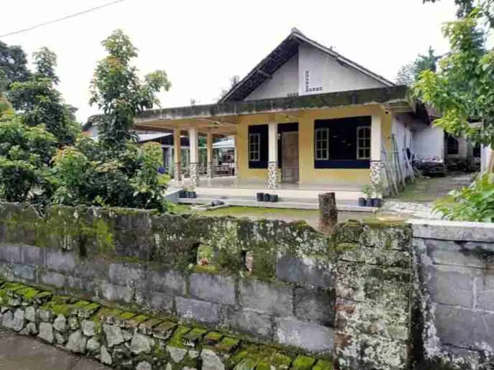 Murah banget, Macet di bank, pekarangan luas bonus Rumah masih layak huni dan kokoh di Seyegan, belakang Puskesmas Seyegan dkt RSA UGM, KAMPUS UTY, MALIOBORO, cocok utk hunian, homestay dan lain-lain