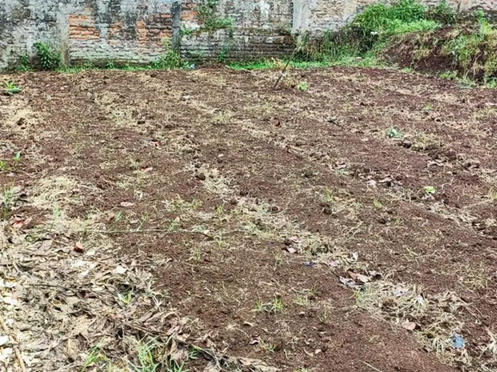 Dijual Kavling di Lembang Lembah Bajuri Bandung, Strategis Siap Bangun