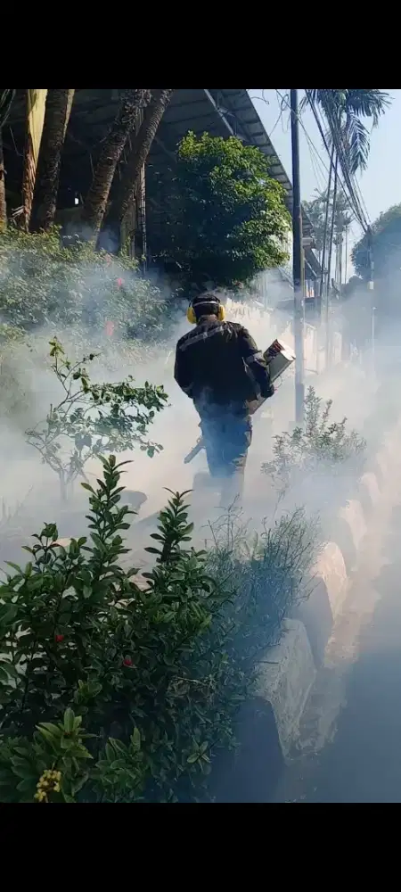 Jasa Fogging nyamuk