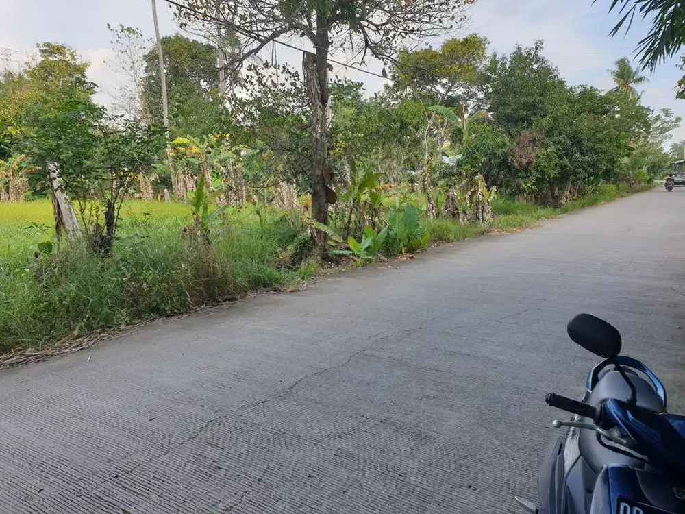 Jual tanah SHM 540 bisa unruk rumah atau usaha
