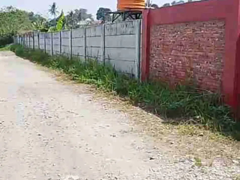 Di Jual Tanah Kebun Durian di Sukamulya Rumpin Bogor Jawa Barat