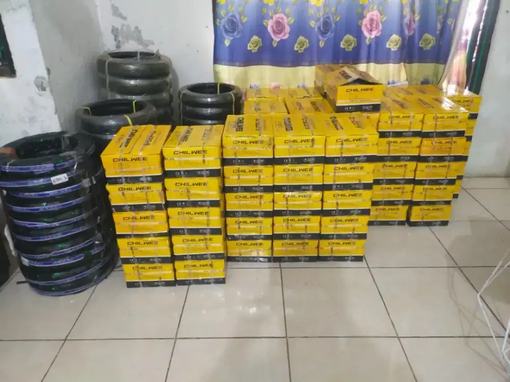 Aki Sepeda Listrik