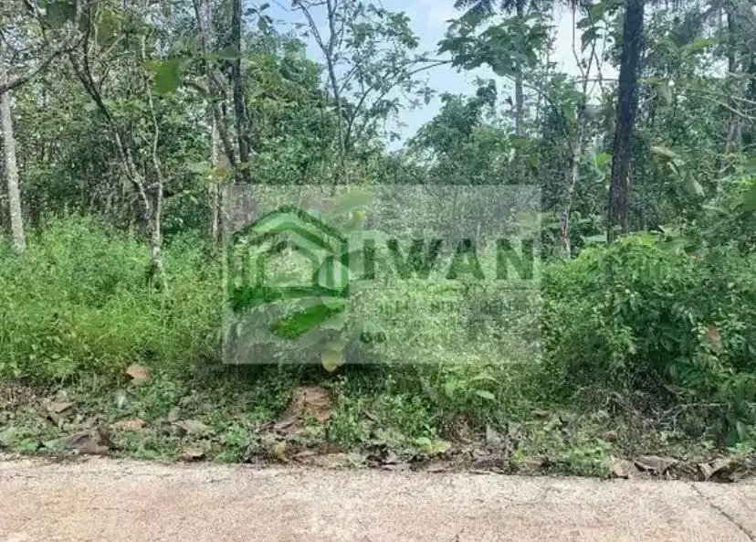 Tanah Luas & Murah Bisa Untuk Kandang