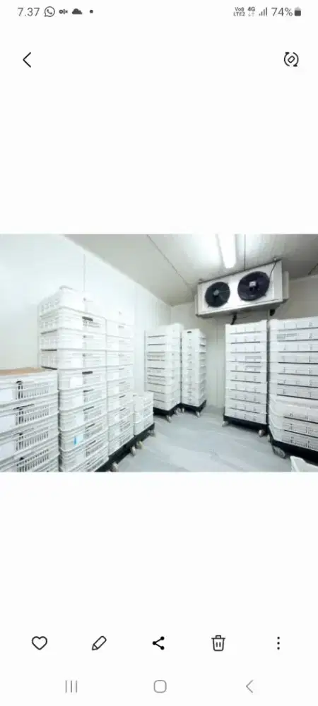 cold storage 12 TON