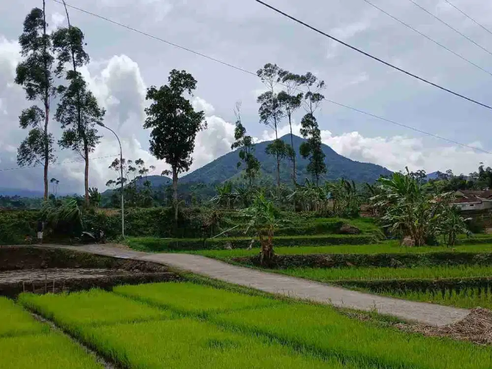 JUAL CEPAT TANAH MURAH CIWIDEY BANDUNG SELATAN