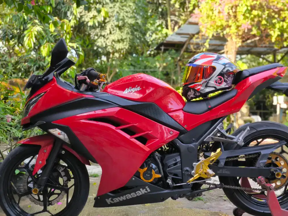 Kawasaki Ninja 250Fi