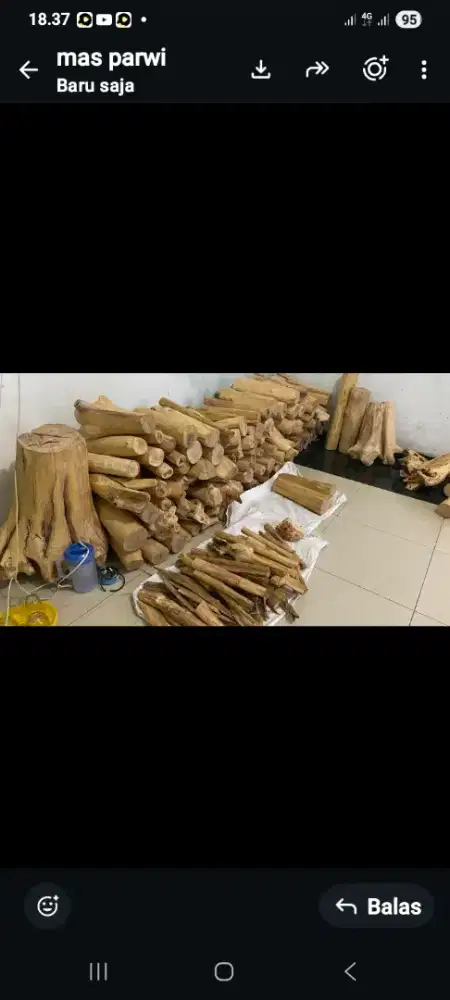 Dijual kayu cendana eangi asal ntt asli ya