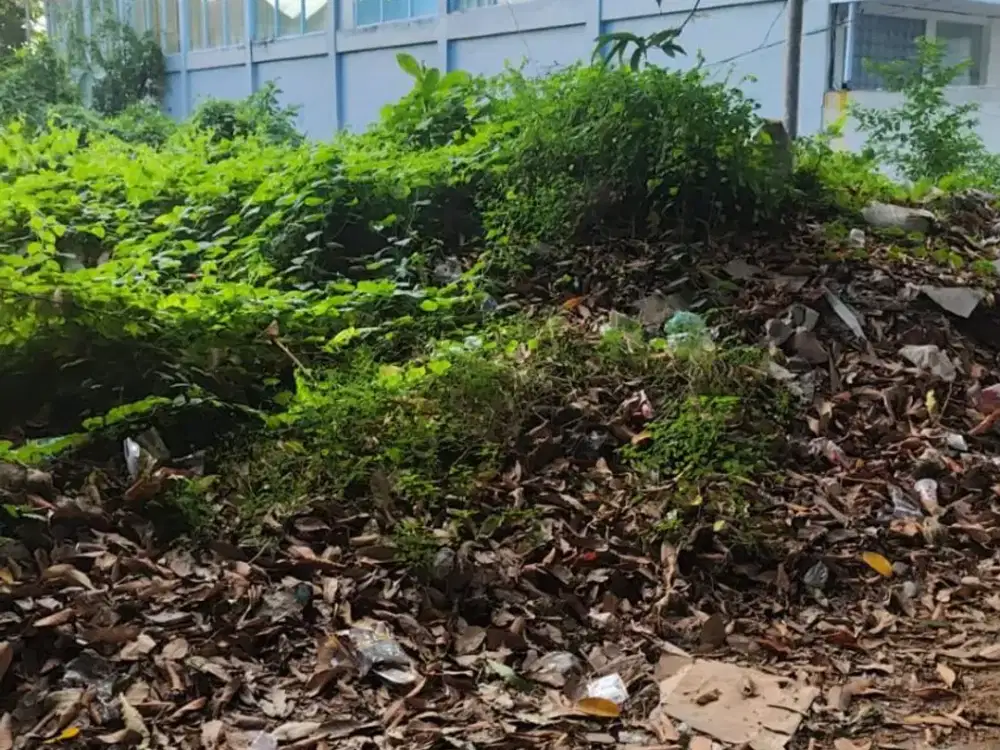 Tanah raya puputan renon