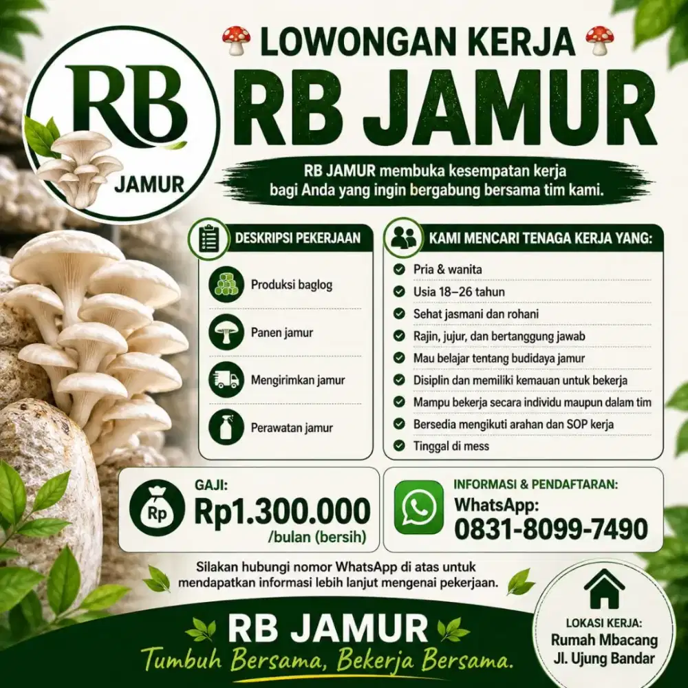 Lowongan Kerja Budidaya Jamur