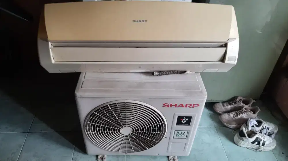 Ac sharp 3/4pk normal
