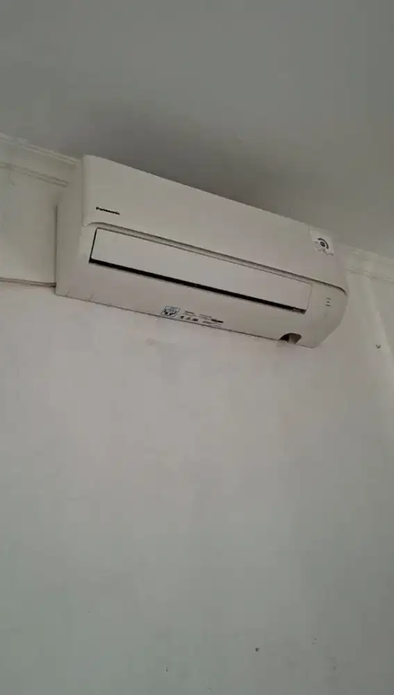 AC Sharp 1/2 PK