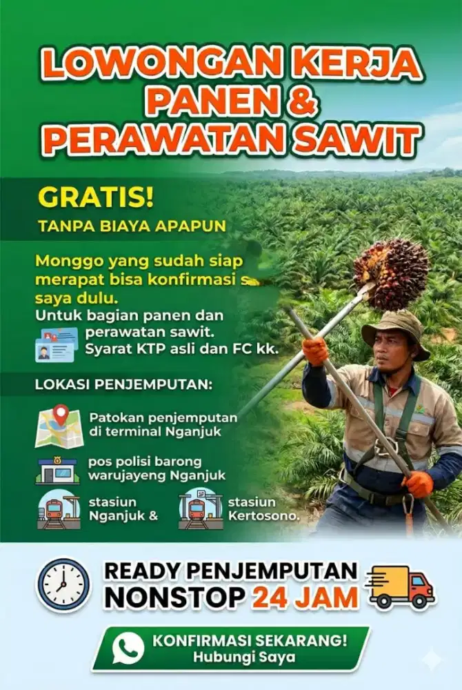 Lowongan kerja perawatan kebun sawit