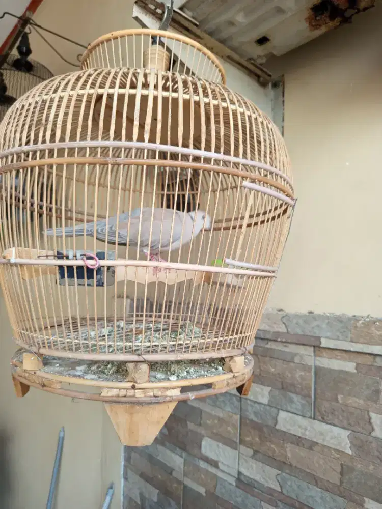 Puter Pelung Crosing