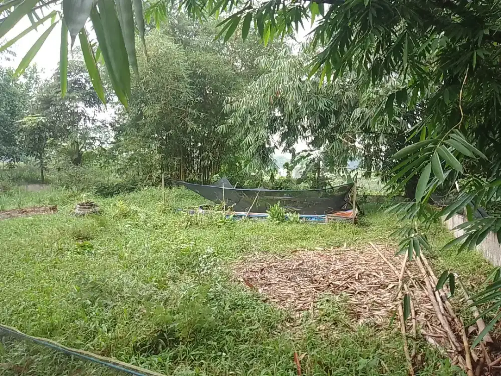DI JUAL:
Lahan Kosong Milik Pribadi
Luas :568 mtr (Cocok ternak ikan)