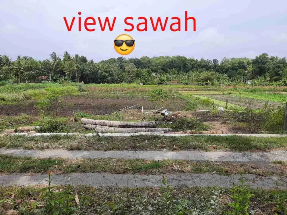 Tanah Murah View Sawah di Sentolo Kulon Progo