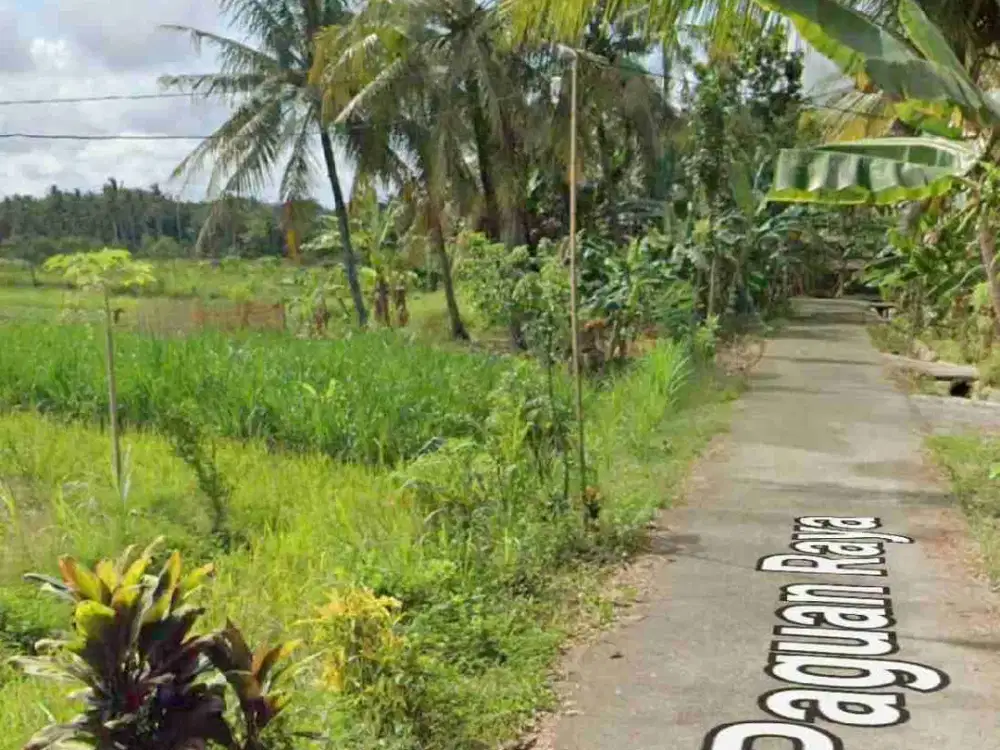 Tanah View Sawah dan perbukitan di Sogan Wates kulon Progo
