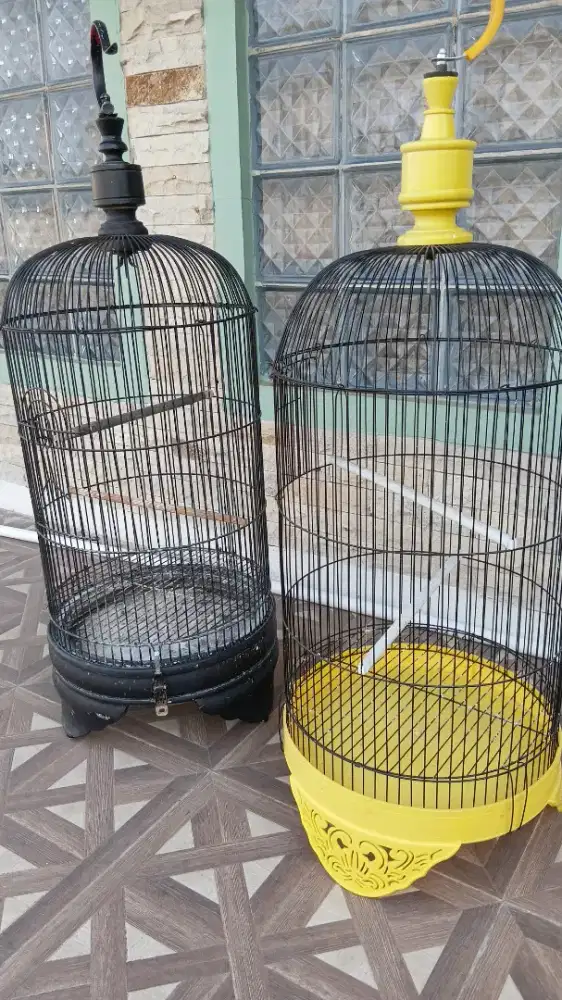 kandang burung love bird