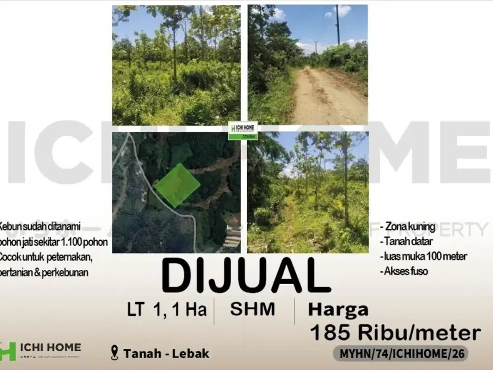 Tanah Zona Kuning Bentuk Datar Sudah SHM Bisa Akses Fuso di Lebak